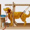 अधिगम का शास्त्रीय अनुबंधन सिद्धांत pavlov Classical Conditioning Theory of Learning hindi