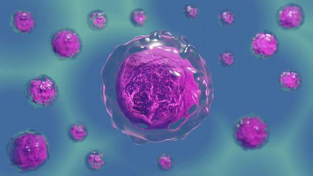cell and cell theory types of vitamins in Hindi