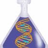 3 types of rna and their functions