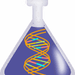 3 types of rna and their functions
