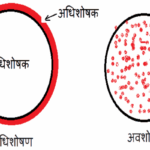 Adsorption Hindi