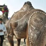 राजस्थान की प्रमुख लोक कलाएँ तथा हस्त कलाएँ