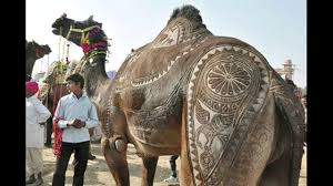 राजस्थान की प्रमुख लोक कलाएँ तथा हस्त कलाएँ