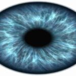 दृष्टि दोष आँखों के रोग (Eye Diseases Information )