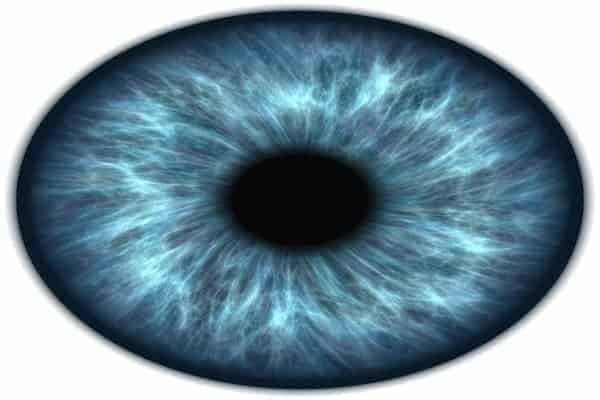 दृष्टि दोष आँखों के रोग (Eye Diseases Information )