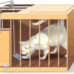 अधिगम का व्यवहारवाद सिद्धांत (Learning Theory of Behaviorism)