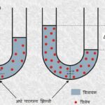 पादप जल सम्बन्ध एवं परासरण