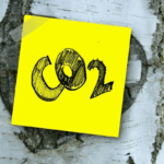 कार्बन के ऑक्साइड OXIDES OF CARBON