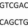Biotechnology in Hindi, Recombinant DNA technology in Hindi, Cloning vectors in hindi, Biotechnology notes in Hindi, electrophoresis in hindi, biotechnology meaning in hindi,