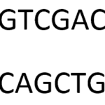 Biotechnology in Hindi, Recombinant DNA technology in Hindi, Cloning vectors in hindi, Biotechnology notes in Hindi, electrophoresis in hindi, biotechnology meaning in hindi,