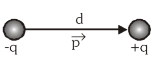 Dipole moment in hindi, Electric dipole in hindi, विद्युत द्विध्रुव एवं द्विध्रुव आघूर्ण 