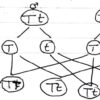Monohybrid cross in Hindi