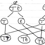 Monohybrid cross in Hindi